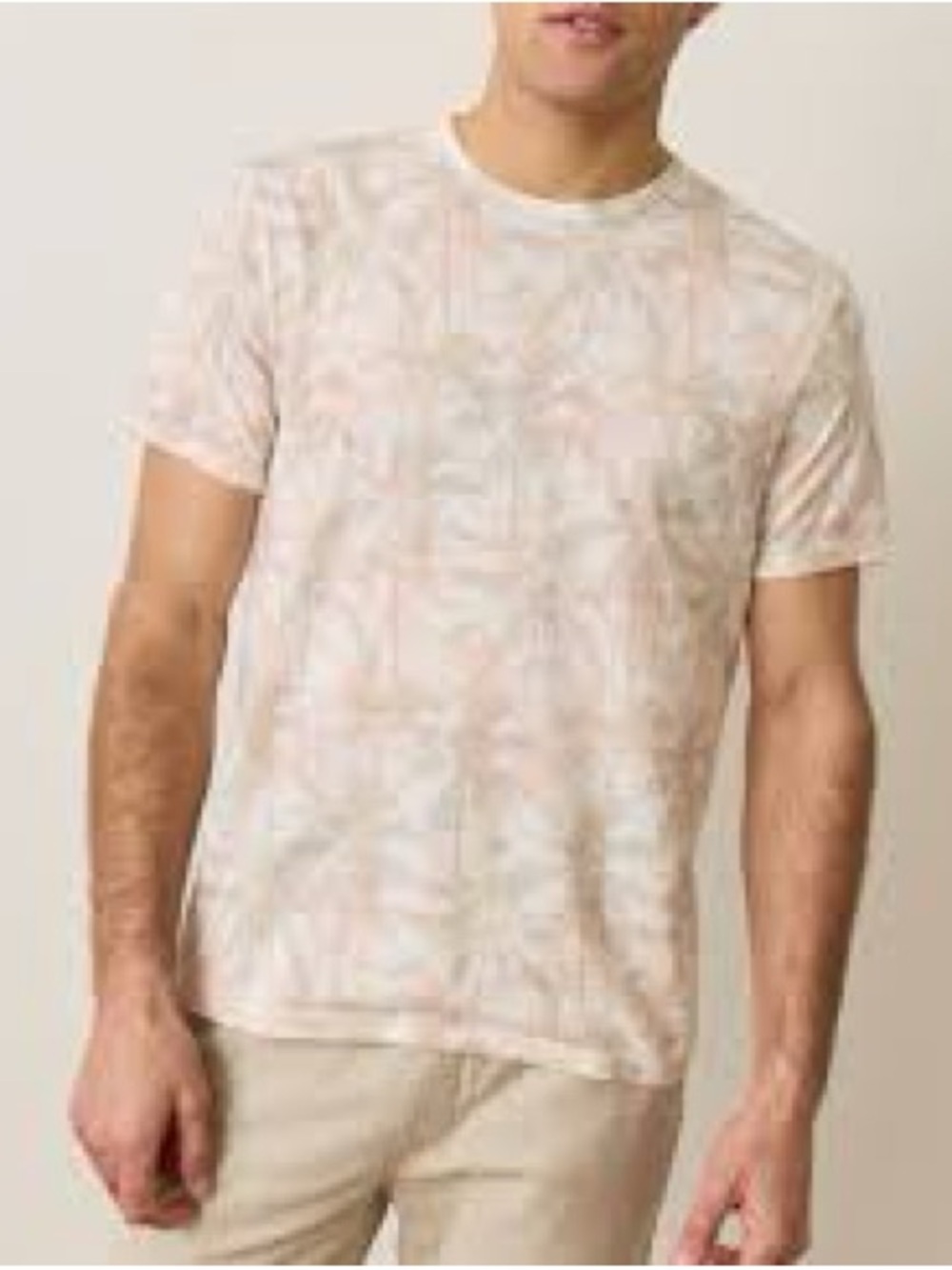 Marine Layer Men’s Palm Tree Print Tee Shirt Tropical Beach USA Large